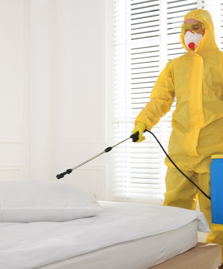 Professional Pest Control Team in Gilberton